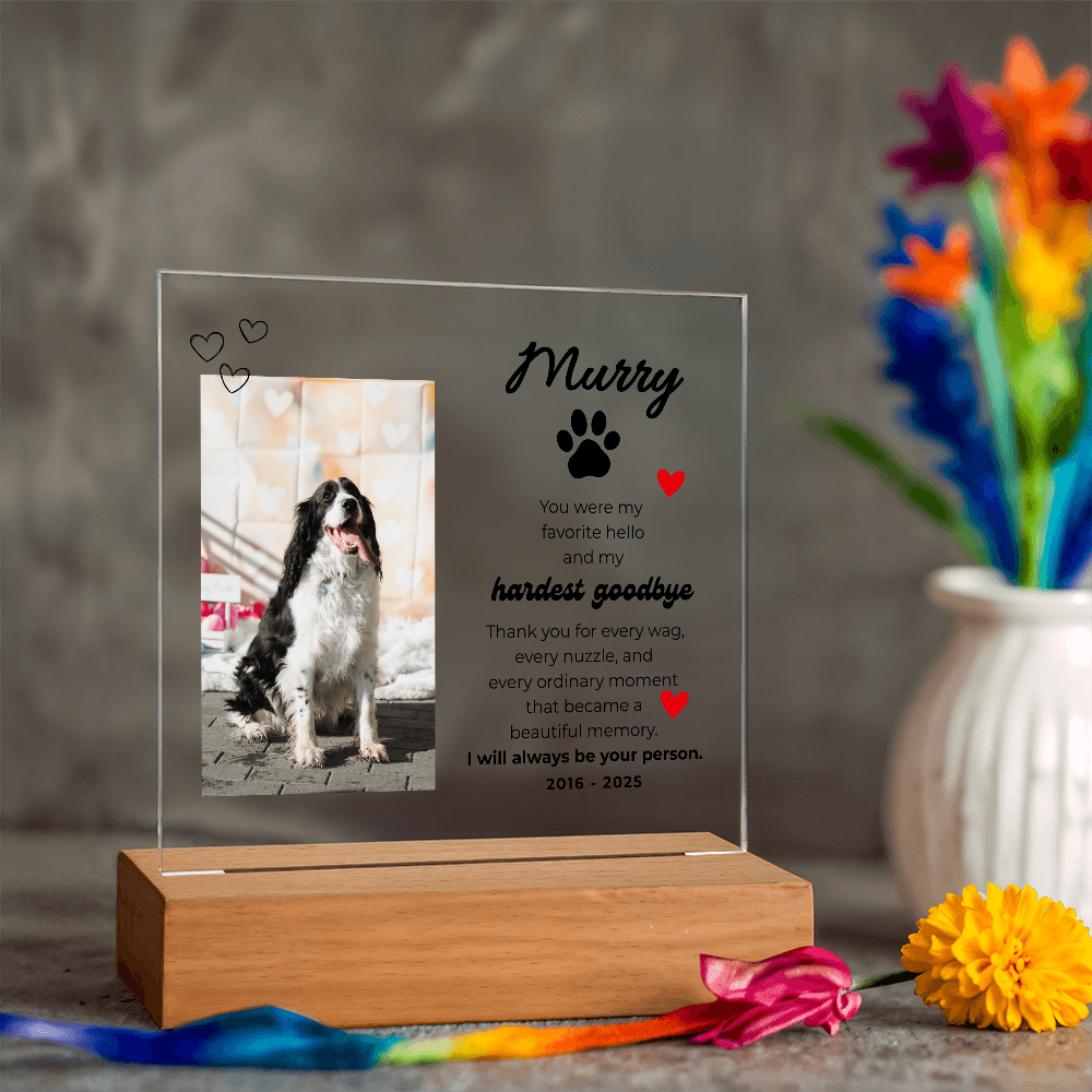 Pet Memory Gift Personalized Pet Memorial Plaque with Photo, Custom Dog Loss Sympathy Present, Cat Remembrance Acrylic LED Light Sign