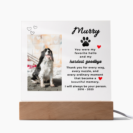 Pet Memory Gift Personalized Pet Memorial Plaque with Photo, Custom Dog Loss Sympathy Gift, Cat Remembrance Acrylic LED Light Sign