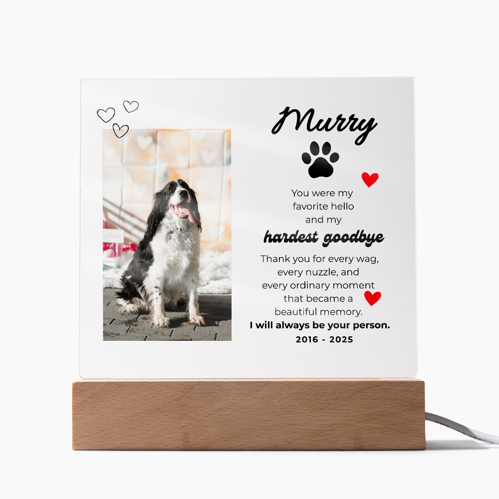 Pet Memory Gift Personalized Pet Memorial Plaque with Photo, Custom Dog Loss Sympathy Present, Cat Remembrance Acrylic LED Light Sign