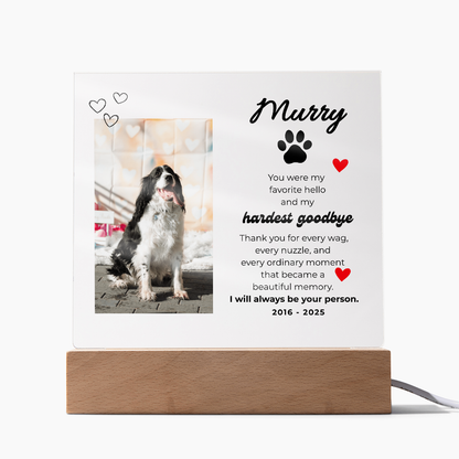 Pet Memory Gift Personalized Pet Memorial Plaque with Photo, Custom Dog Loss Sympathy Present, Cat Remembrance Acrylic LED Light Sign
