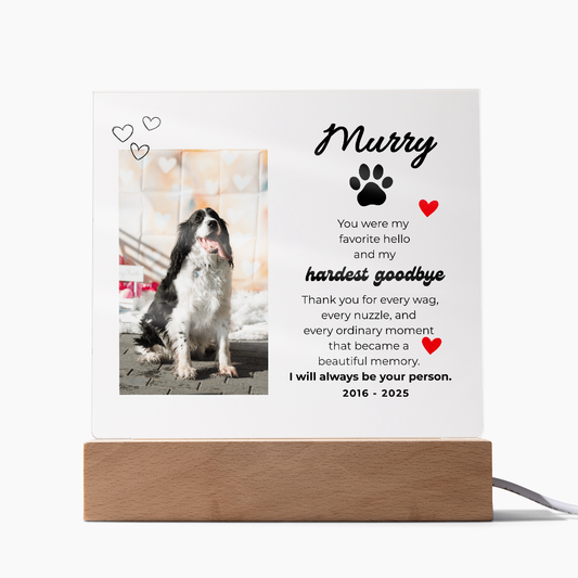 Pet Memory Gift Personalized Pet Memorial Plaque with Photo, Custom Dog Loss Sympathy Present, Cat Remembrance Acrylic LED Light Sign