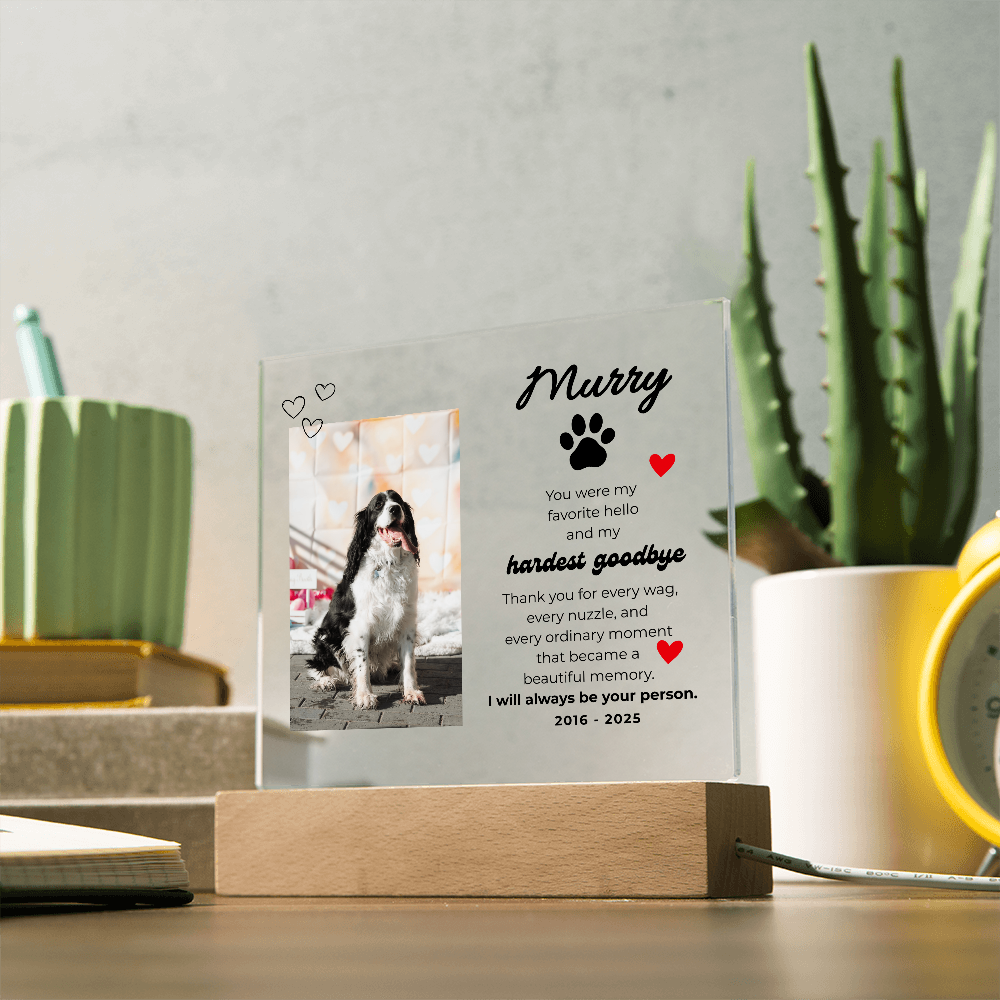 Pet Memory Gift Personalized Pet Memorial Plaque with Photo, Custom Dog Loss Sympathy Present, Cat Remembrance Acrylic LED Light Sign