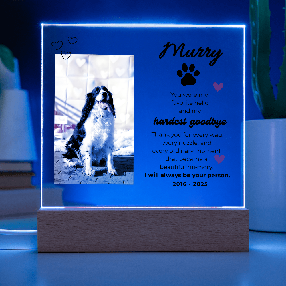 Pet Memory Gift Personalized Pet Memorial Plaque with Photo, Custom Dog Loss Sympathy Present, Cat Remembrance Acrylic LED Light Sign