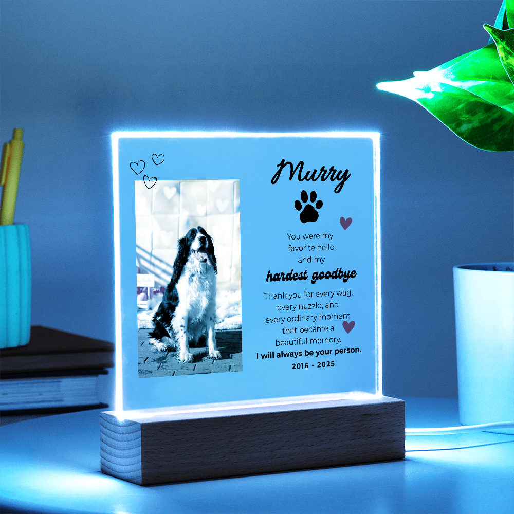 Pet Memory Gift Personalized Pet Memorial Plaque with Photo, Custom Dog Loss Sympathy Present, Cat Remembrance Acrylic LED Light Sign
