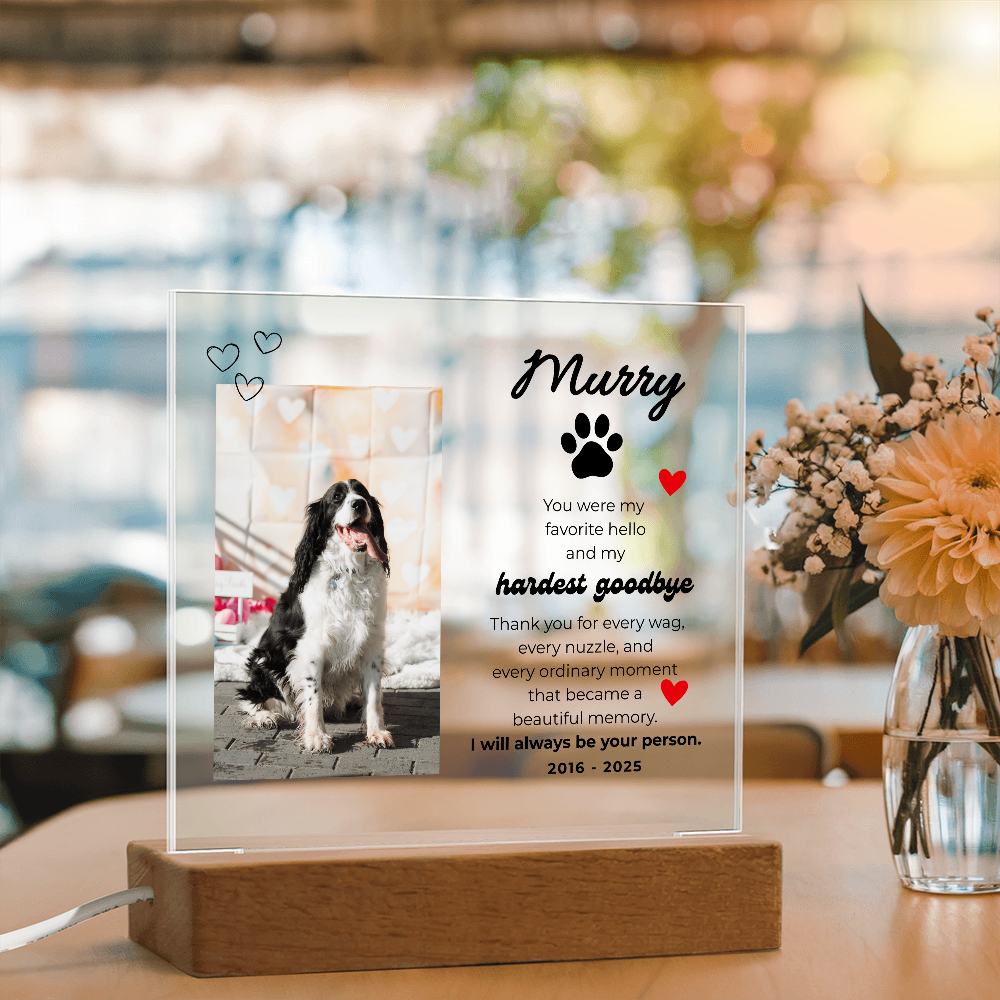 Pet Memory Gift Personalized Pet Memorial Plaque with Photo, Custom Dog Loss Sympathy Present, Cat Remembrance Acrylic LED Light Sign