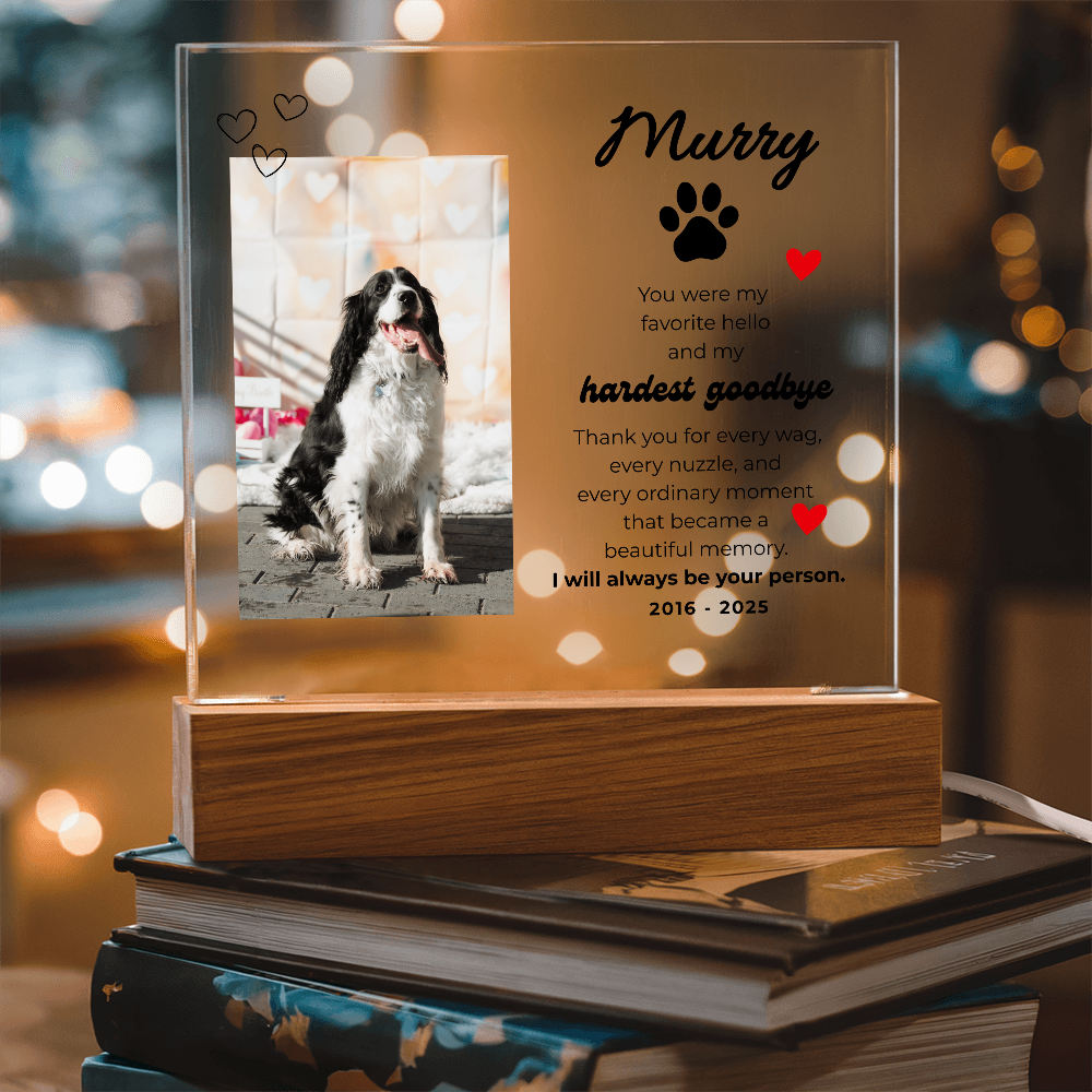 Pet Memory Gift Personalized Pet Memorial Plaque with Photo, Custom Dog Loss Sympathy Present, Cat Remembrance Acrylic LED Light Sign