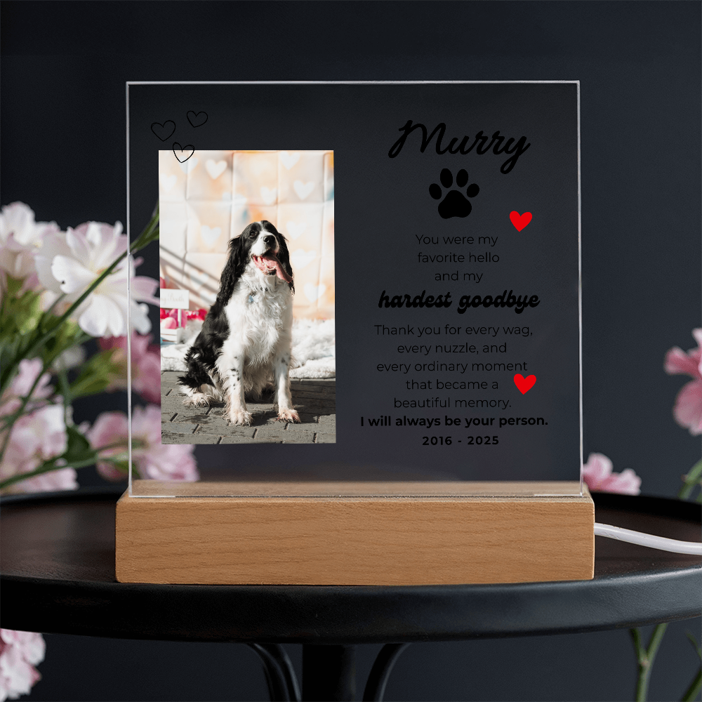 Pet Memory Gift Personalized Pet Memorial Plaque with Photo, Custom Dog Loss Sympathy Present, Cat Remembrance Acrylic LED Light Sign