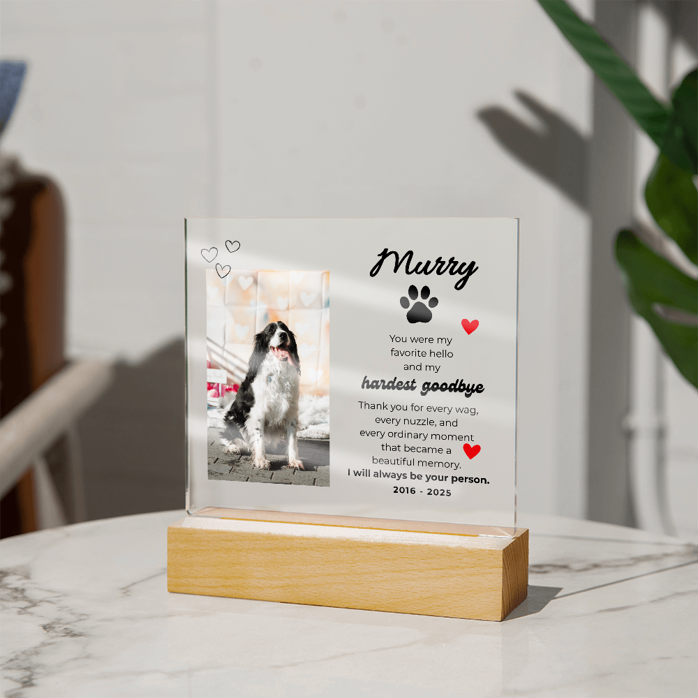 Pet Memory Gift Personalized Pet Memorial Plaque with Photo, Custom Dog Loss Sympathy Present, Cat Remembrance Acrylic LED Light Sign