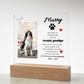 Pet Memory Gift Personalized Pet Memorial Plaque with Photo, Custom Dog Loss Sympathy Present, Cat Remembrance Acrylic LED Light Sign