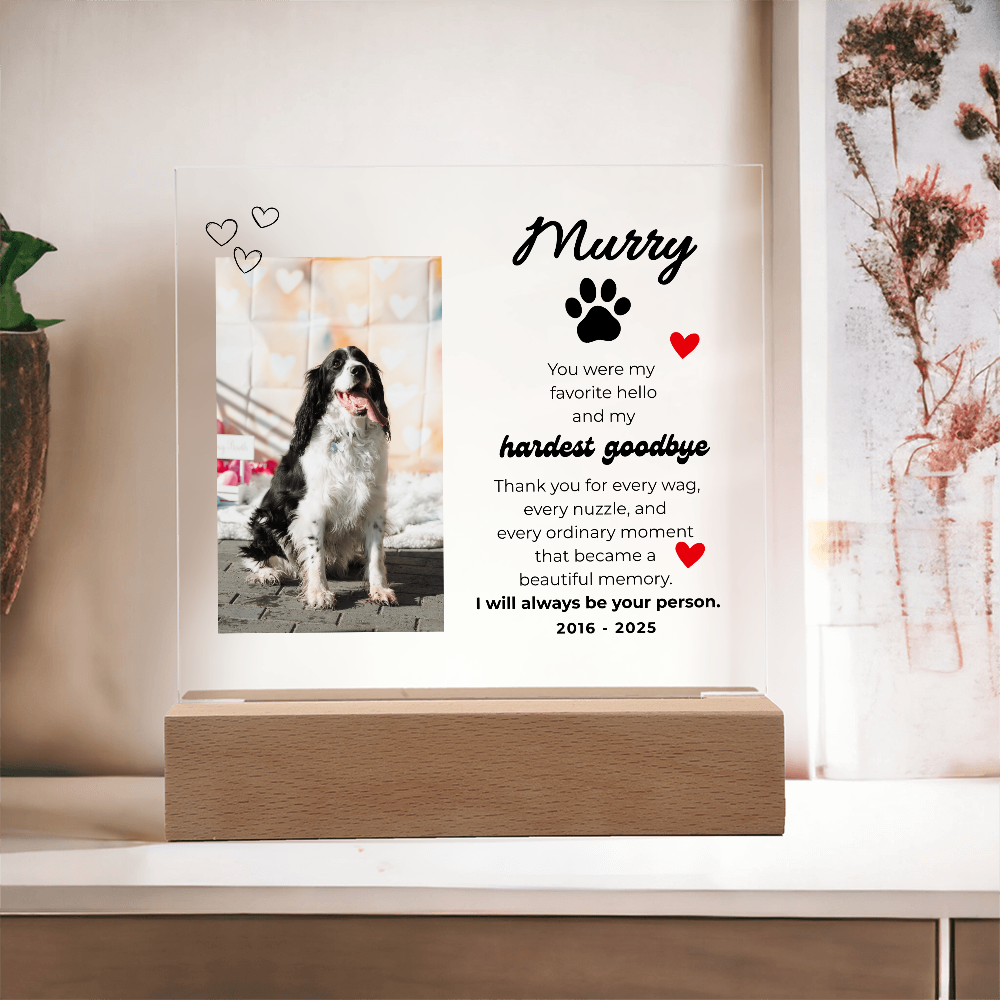 Pet Memory Gift Personalized Pet Memorial Plaque with Photo, Custom Dog Loss Sympathy Present, Cat Remembrance Acrylic LED Light Sign
