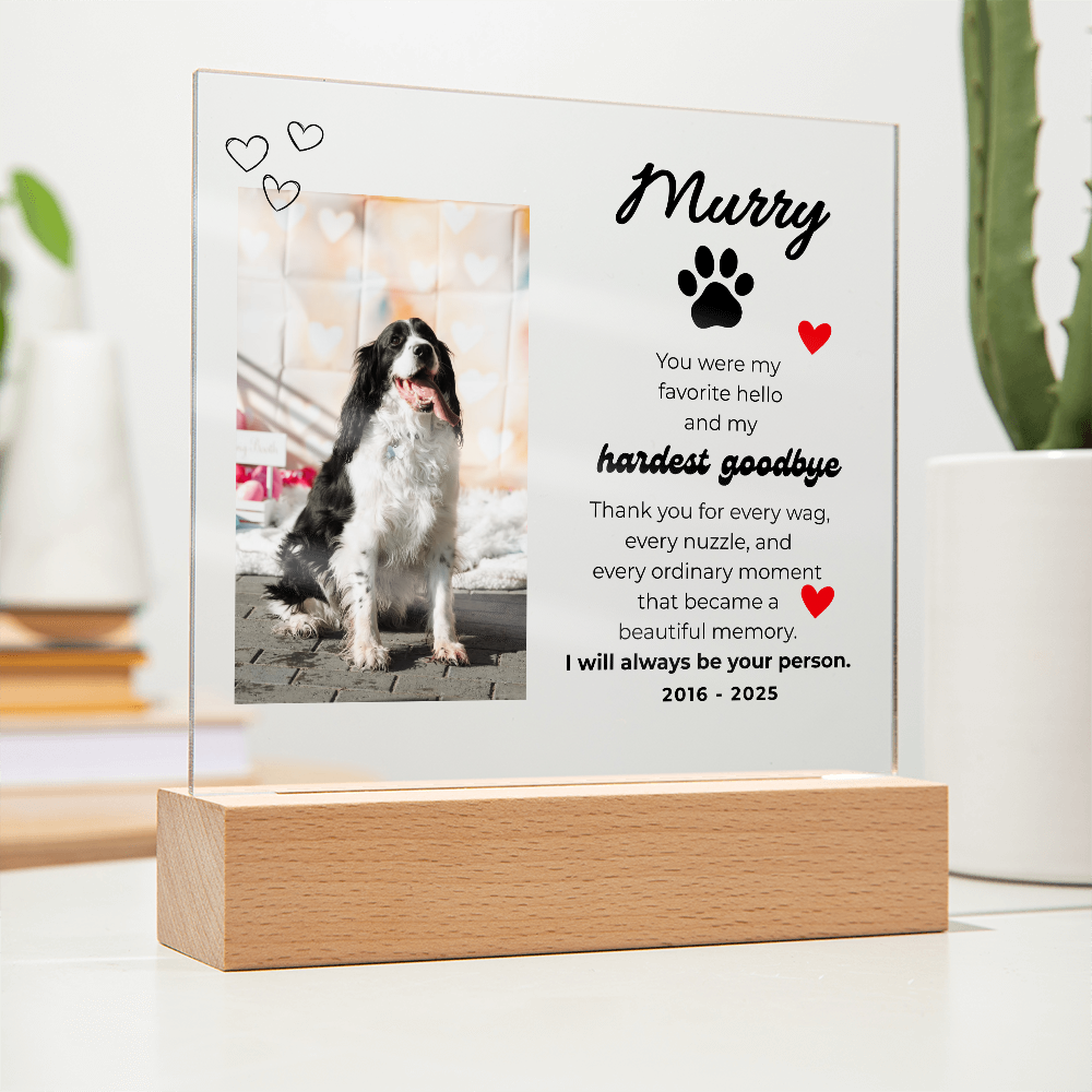 Pet Memory Gift Personalized Pet Memorial Plaque with Photo, Custom Dog Loss Sympathy Present, Cat Remembrance Acrylic LED Light Sign