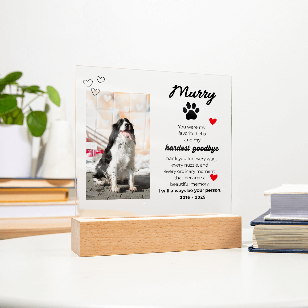 Pet Memory Gift Personalized Pet Memorial Plaque with Photo, Custom Dog Loss Sympathy Present, Cat Remembrance Acrylic LED Light Sign