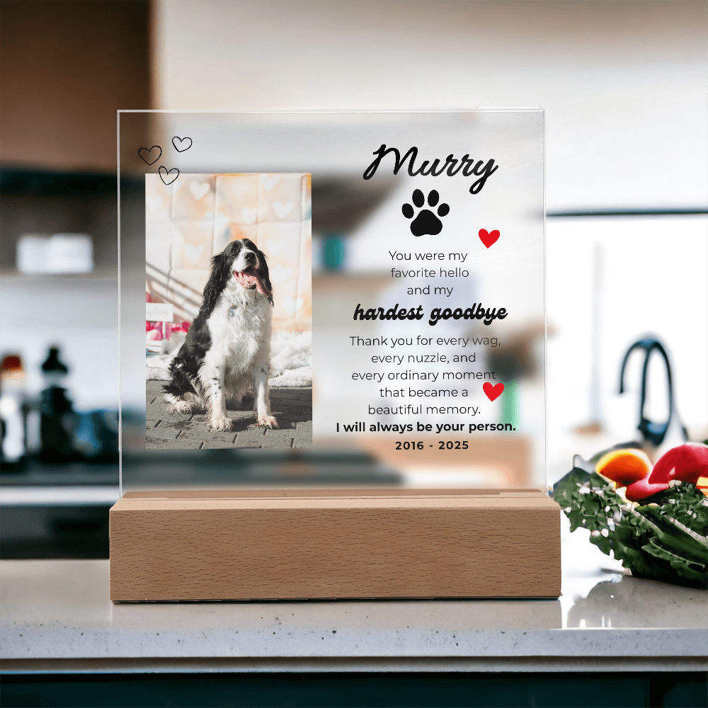 Pet Memory Gift Personalized Pet Memorial Plaque with Photo, Custom Dog Loss Sympathy Present, Cat Remembrance Acrylic LED Light Sign