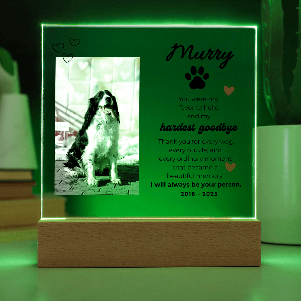 Pet Memory Gift Personalized Pet Memorial Plaque with Photo, Custom Dog Loss Sympathy Present, Cat Remembrance Acrylic LED Light Sign