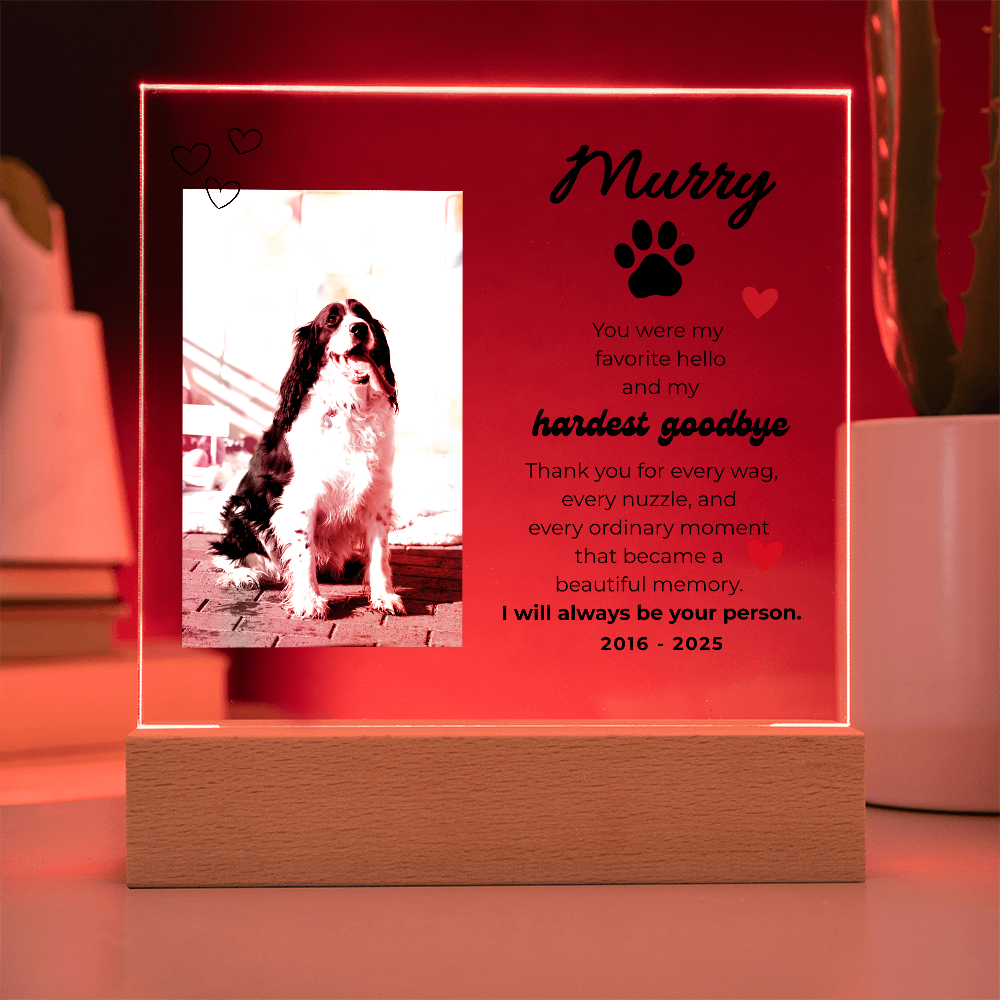 Pet Memory Gift Personalized Pet Memorial Plaque with Photo, Custom Dog Loss Sympathy Present, Cat Remembrance Acrylic LED Light Sign
