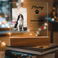 Pet Memory Gift Personalized Pet Memorial Plaque with Photo, Custom Dog Loss Sympathy Present, Cat Remembrance Acrylic LED Light Sign