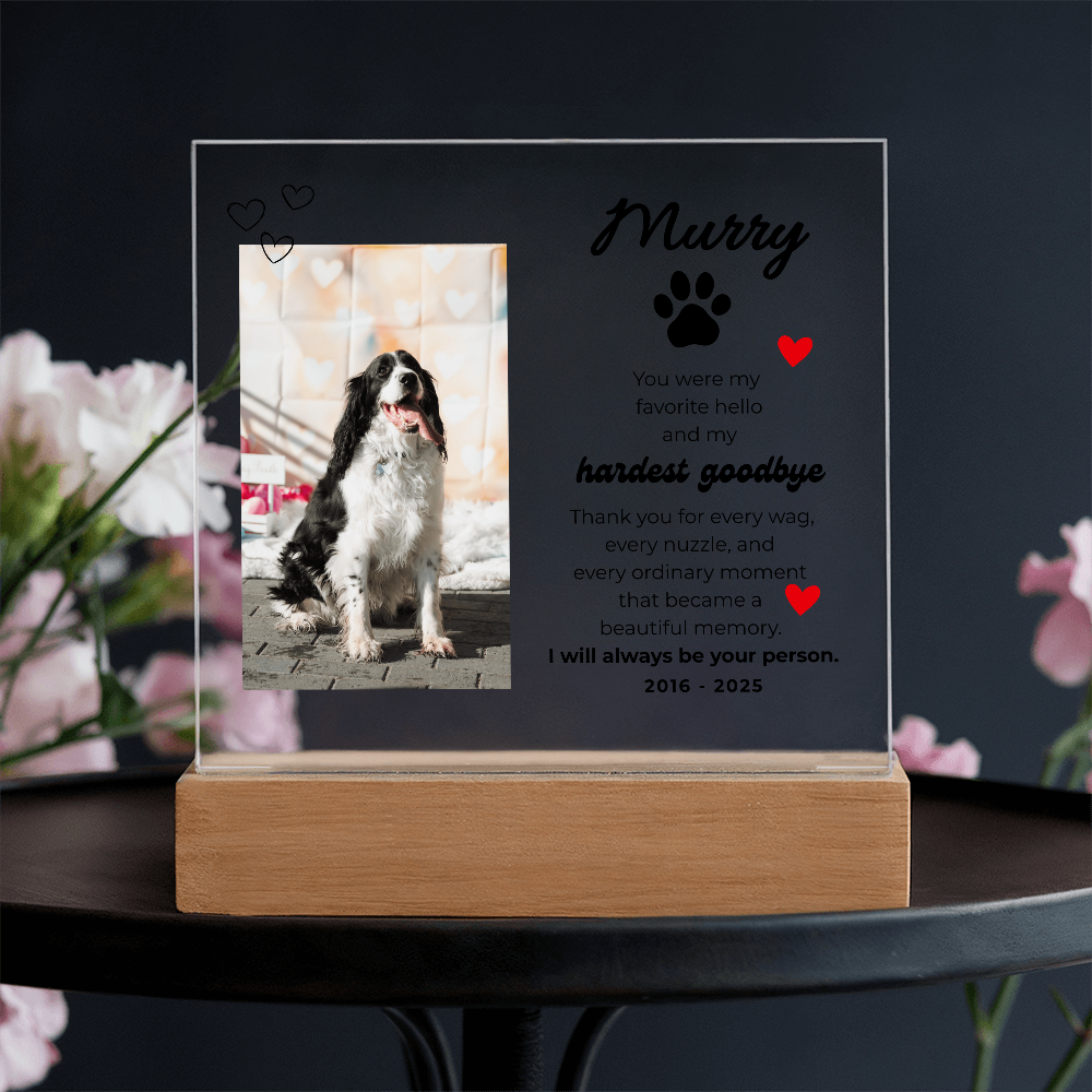 Pet Memory Gift Personalized Pet Memorial Plaque with Photo, Custom Dog Loss Sympathy Present, Cat Remembrance Acrylic LED Light Sign